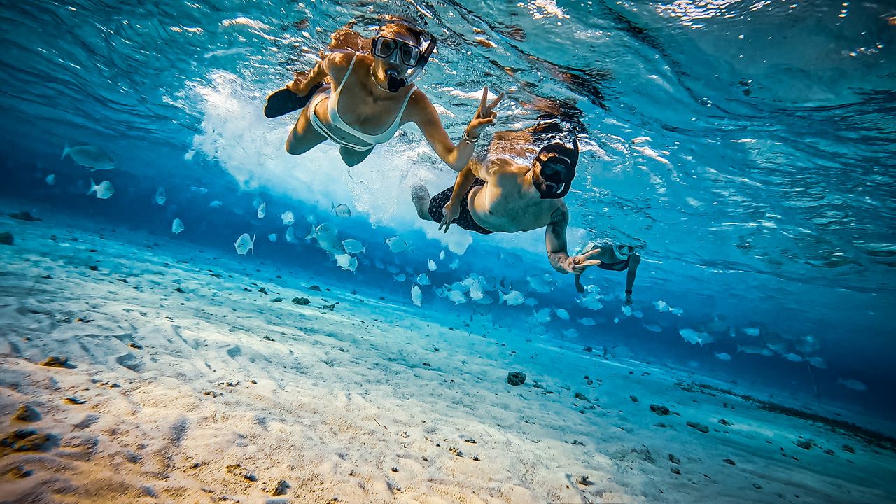 Nascer Do Sol Na Ilha Do Aquário Com Mergulho Livre foto 4