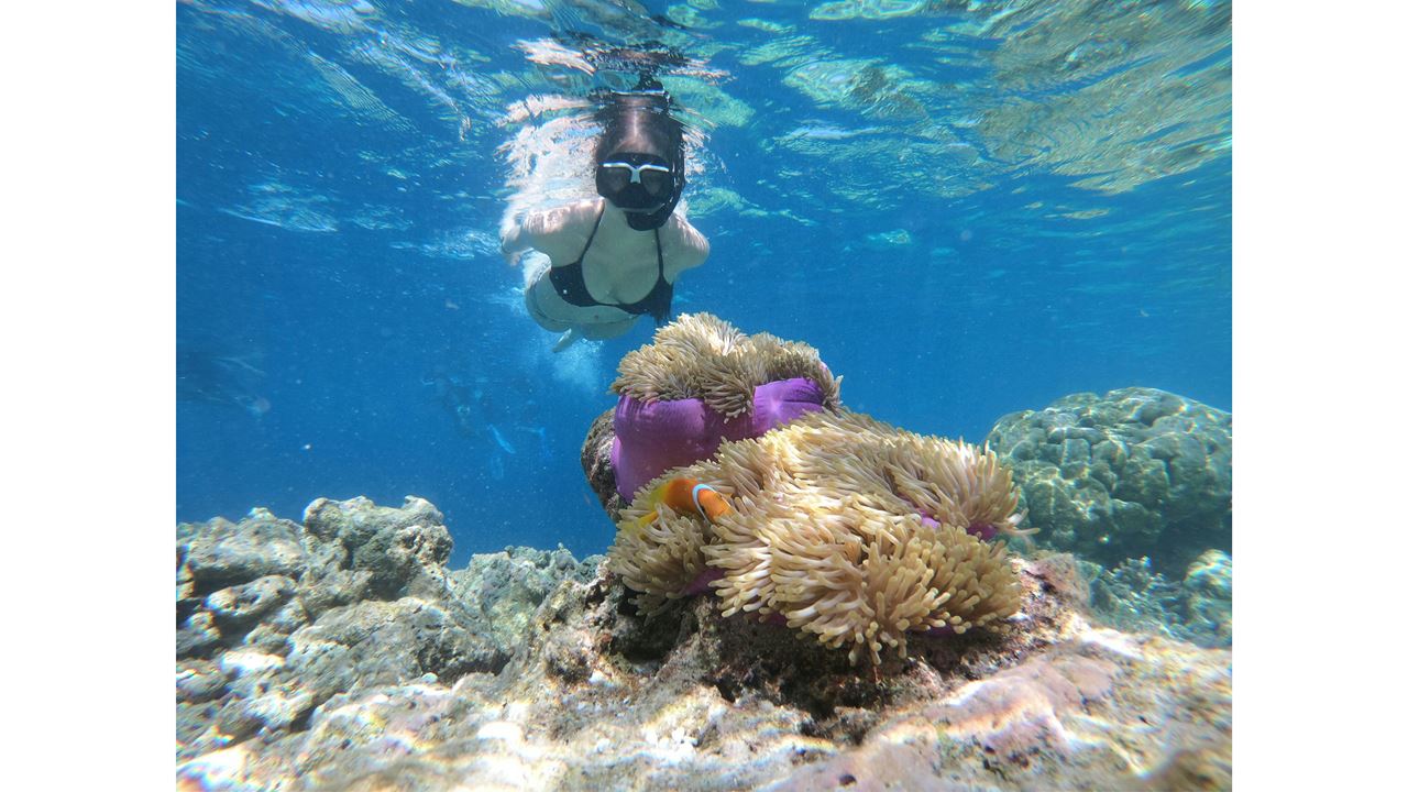 Nascer Do Sol Na Ilha E Ioga foto 3