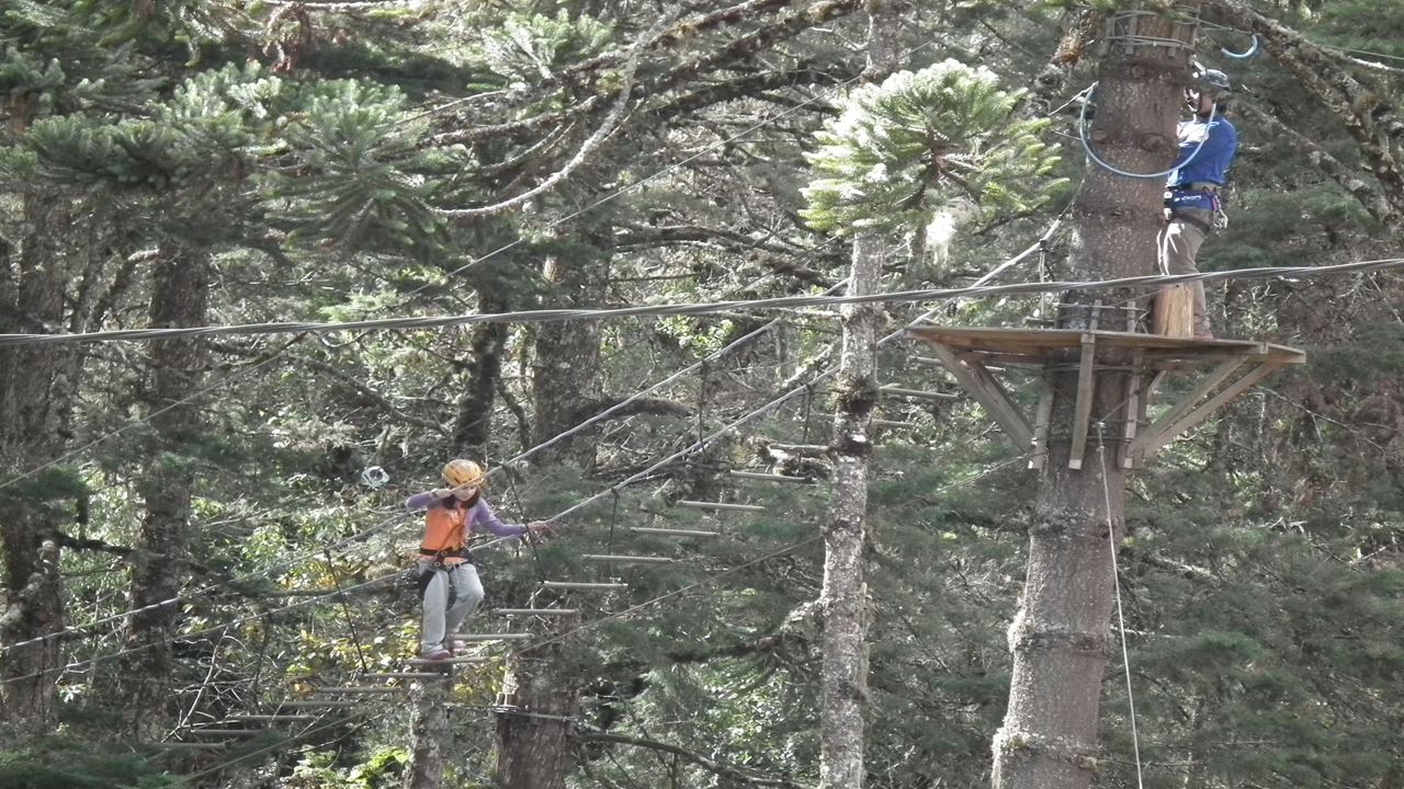 Arborismo En Cabanas foto 4