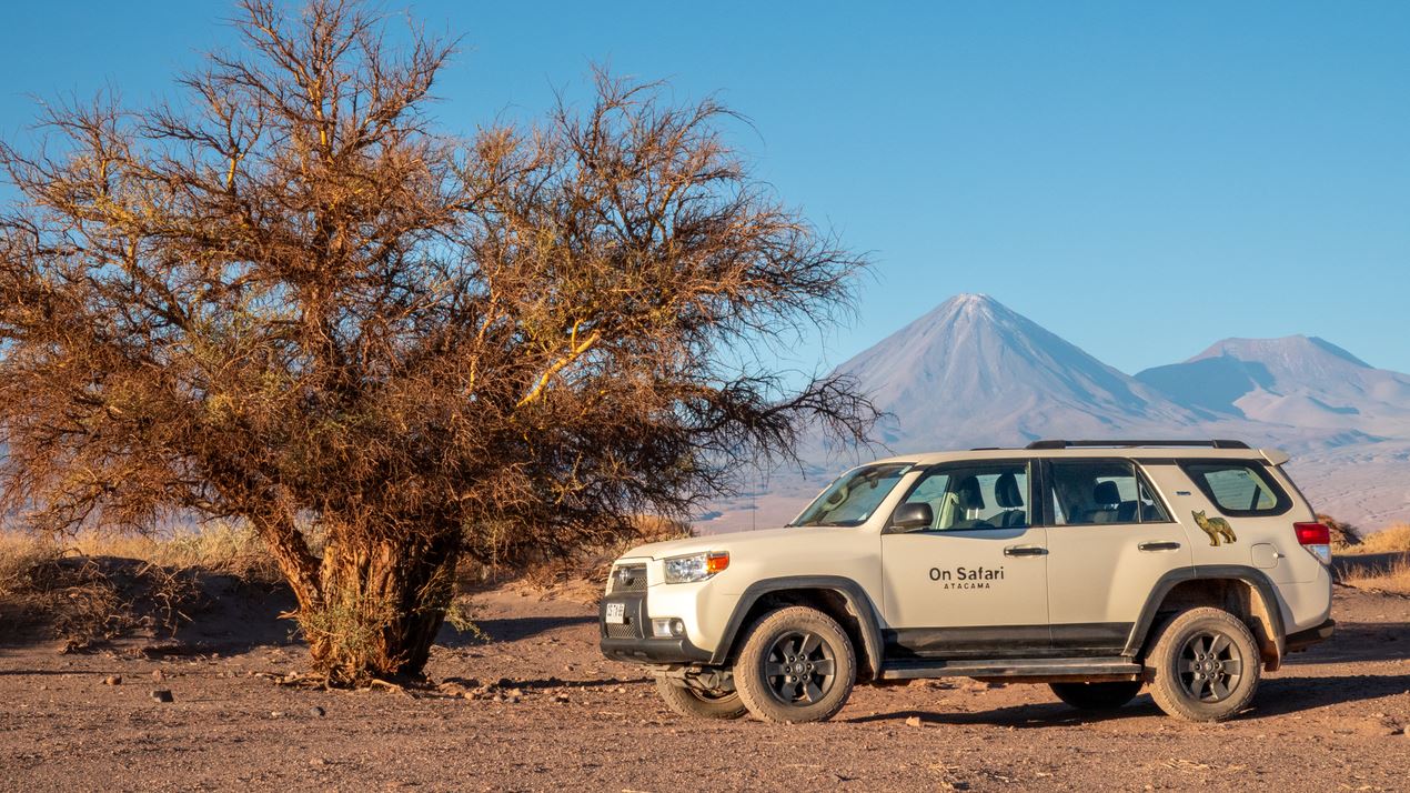 Safari De Astronomia: Exploração Noturna No Céu Do Deserto Do Atacama foto 2