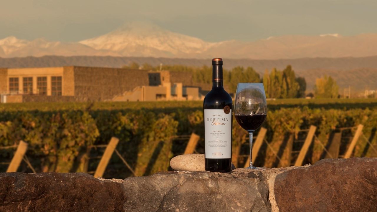 Sunset At Bodega Séptima foto 2