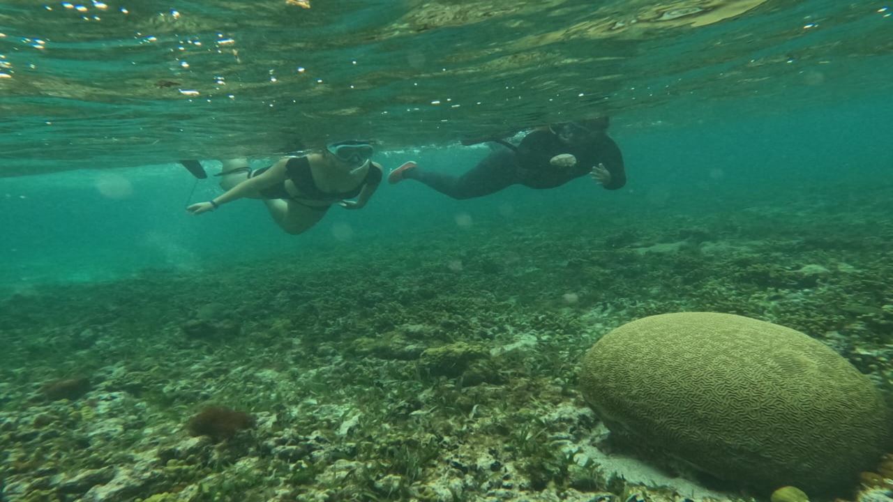 Island Sunset With Sailing foto 4