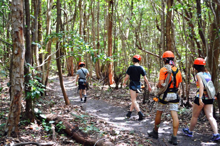Atv Tour In Barra Do Cunhaú With Tree Climbing foto 5