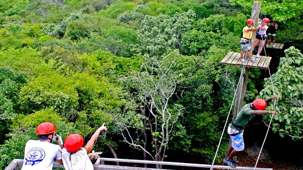 Atv Tour In Barra Do Cunhaú With Tree Climbing foto 4