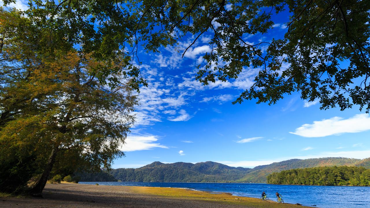 Aventura Na Reserva Biológica De Huilo Huilo Partindo De Valdivia foto 1