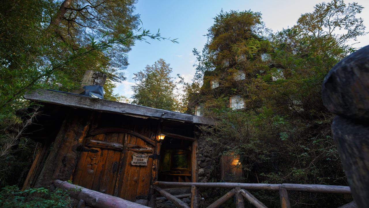 Aventura Na Reserva Biológica De Huilo Huilo Partindo De Valdivia foto 8