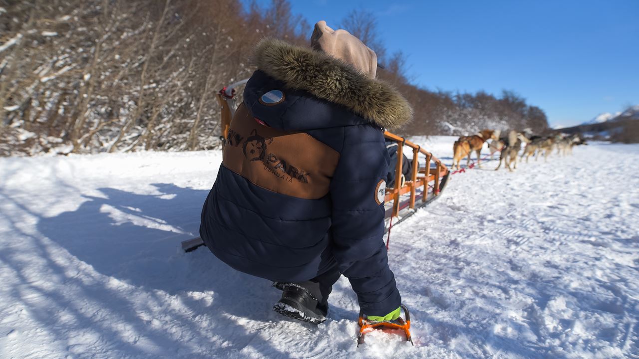 White Adventure With Huskies (7)