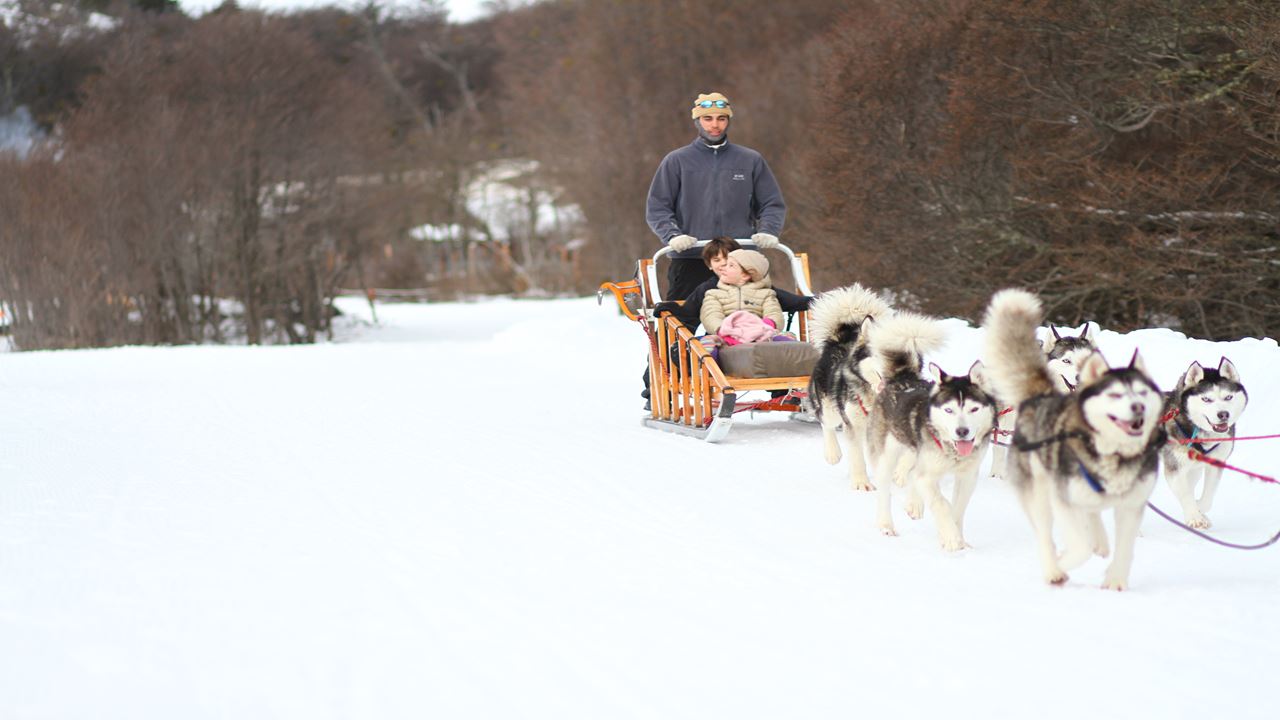 White Adventure With Huskies (0)