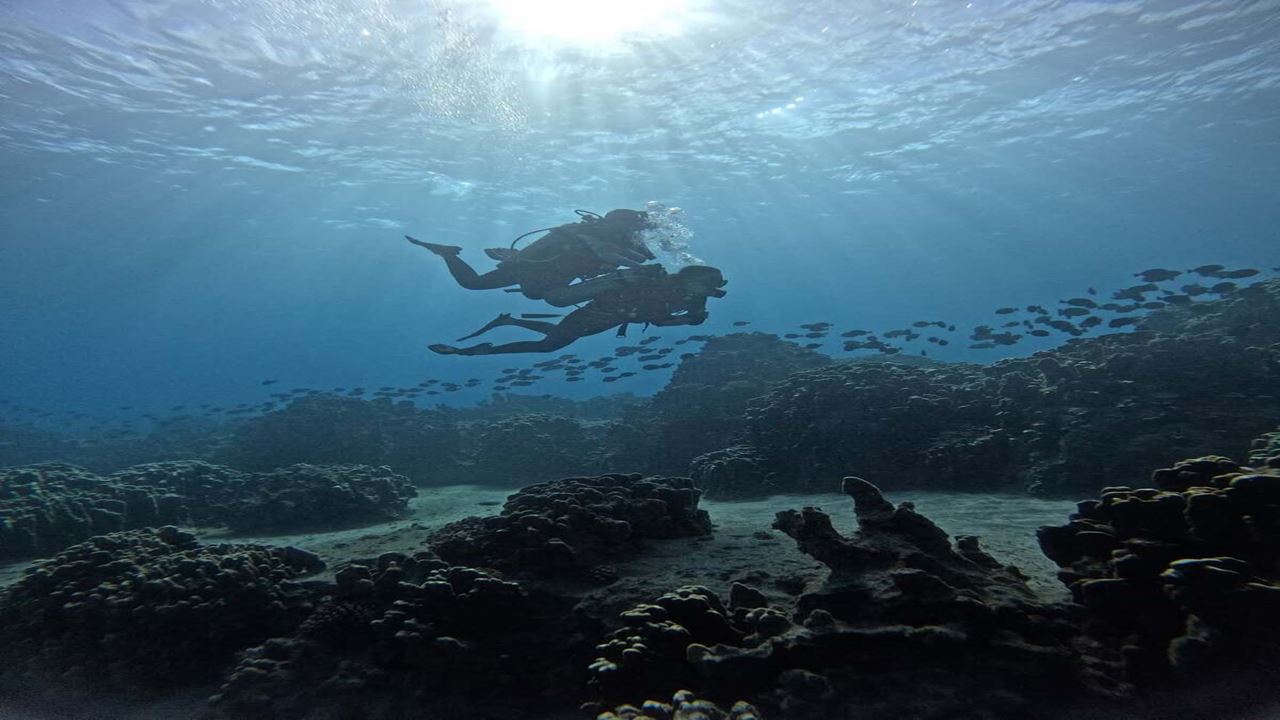 Aventura De Buceo En La Costa Exterior De Hanga Roa foto 2