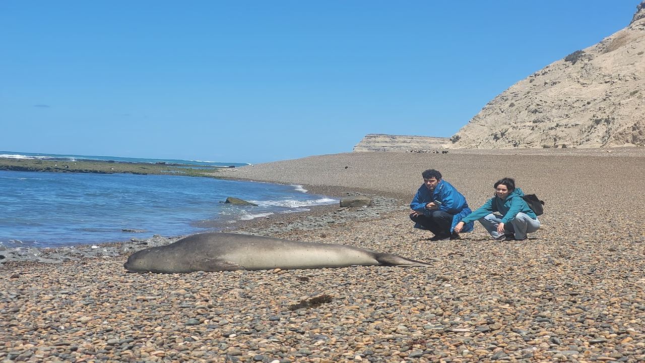 4x4 Adventure In Punta Ninfas (1)