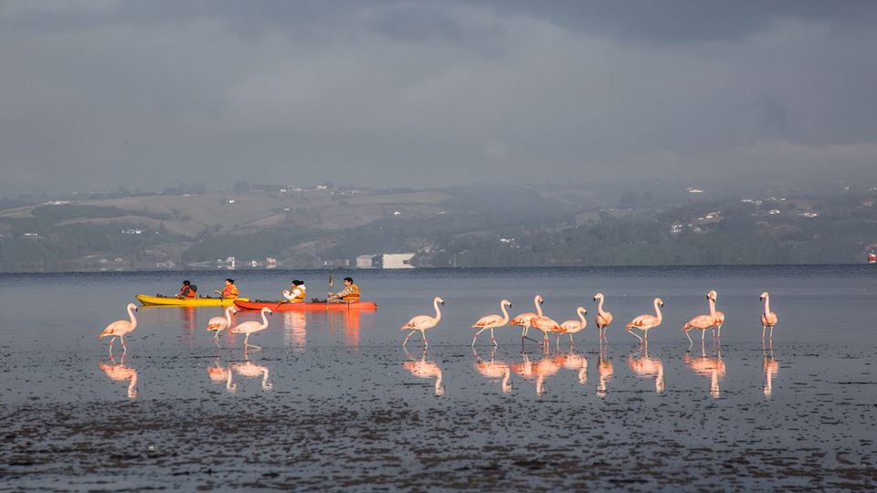 Aventura Em Chiloé: Ancud, Caulin E Lacuy
 foto 3