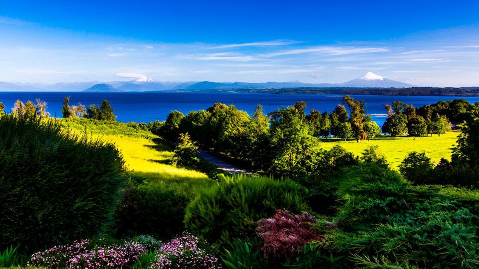 Aventura Entre Lagos: De Puerto Octay, Lago Rupanco A Puyehue
 foto 9