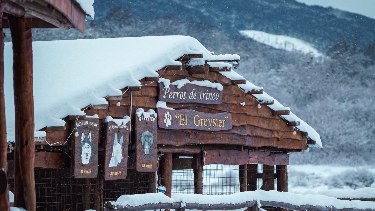 Aventura De Inverno De Dia Inteiro Com Trekking E Utv (8)