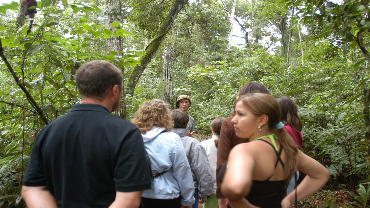 Jungle Fly Adventure In Small Groups (3)
