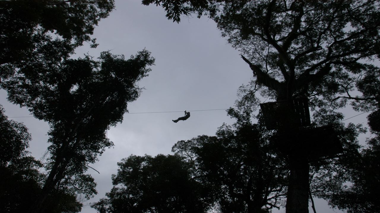 Jungle Fly Adventure In Small Groups (5)
