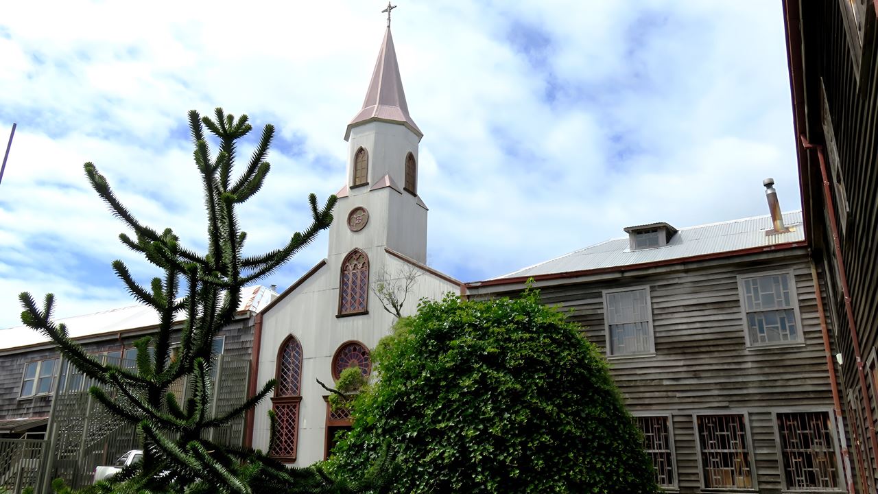 Penguin Adventure In Puñihuil Bay Ancud foto 2