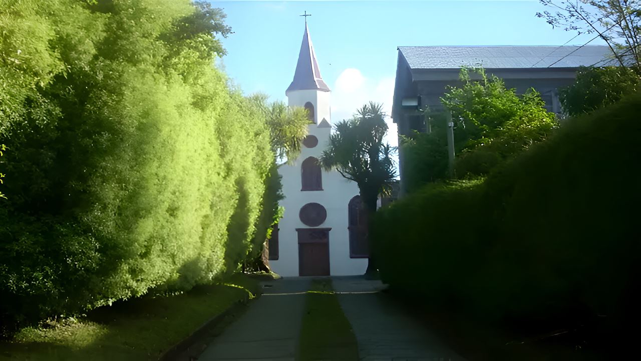 Penguin Adventure In Puñihuil Bay Ancud foto 5