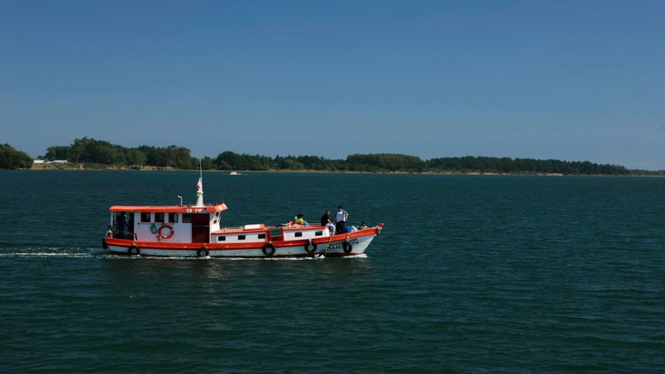Aventura E Magia Da Ilha De Chiloé: Ancud, Castro E Dalcahue foto 1