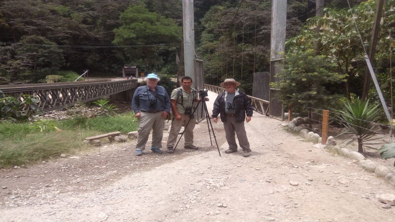 Avistaje De Aves En Machu Picchu Desde Ollantaytambo (8)