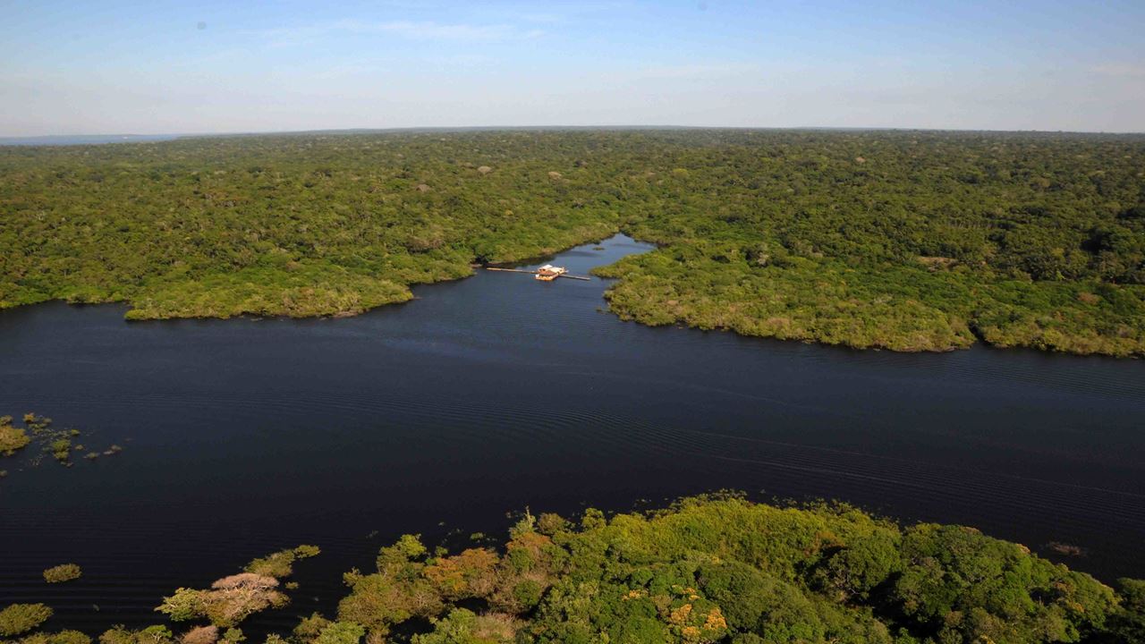 Alligator Watching And Piranhas Fishing (4)