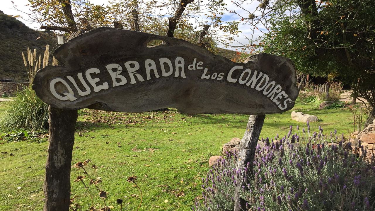 Condor Sighting In Quebrada De Los Cóndores foto 2