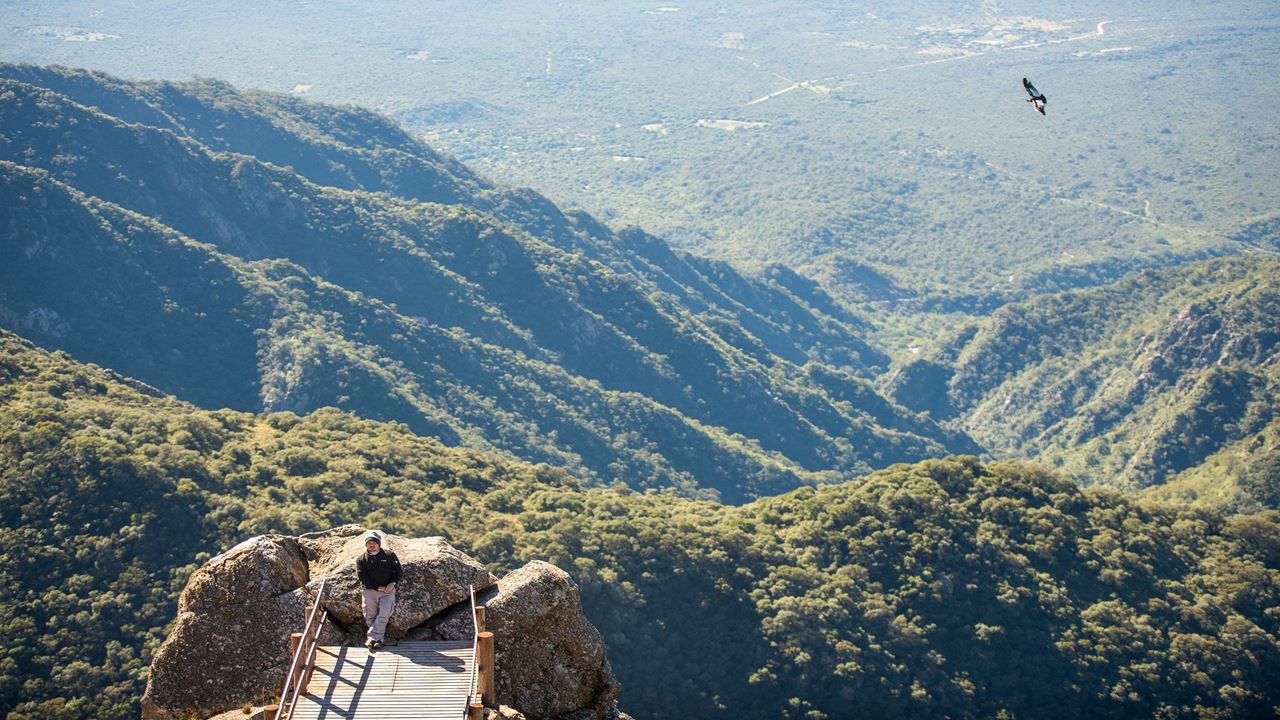 Condor Sighting In Quebrada De Los Cóndores foto 4