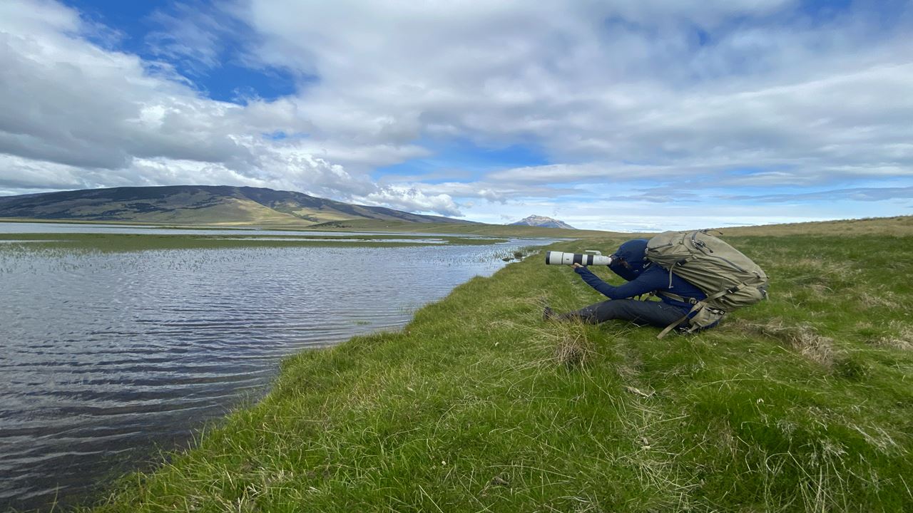 Bird Watching foto 4