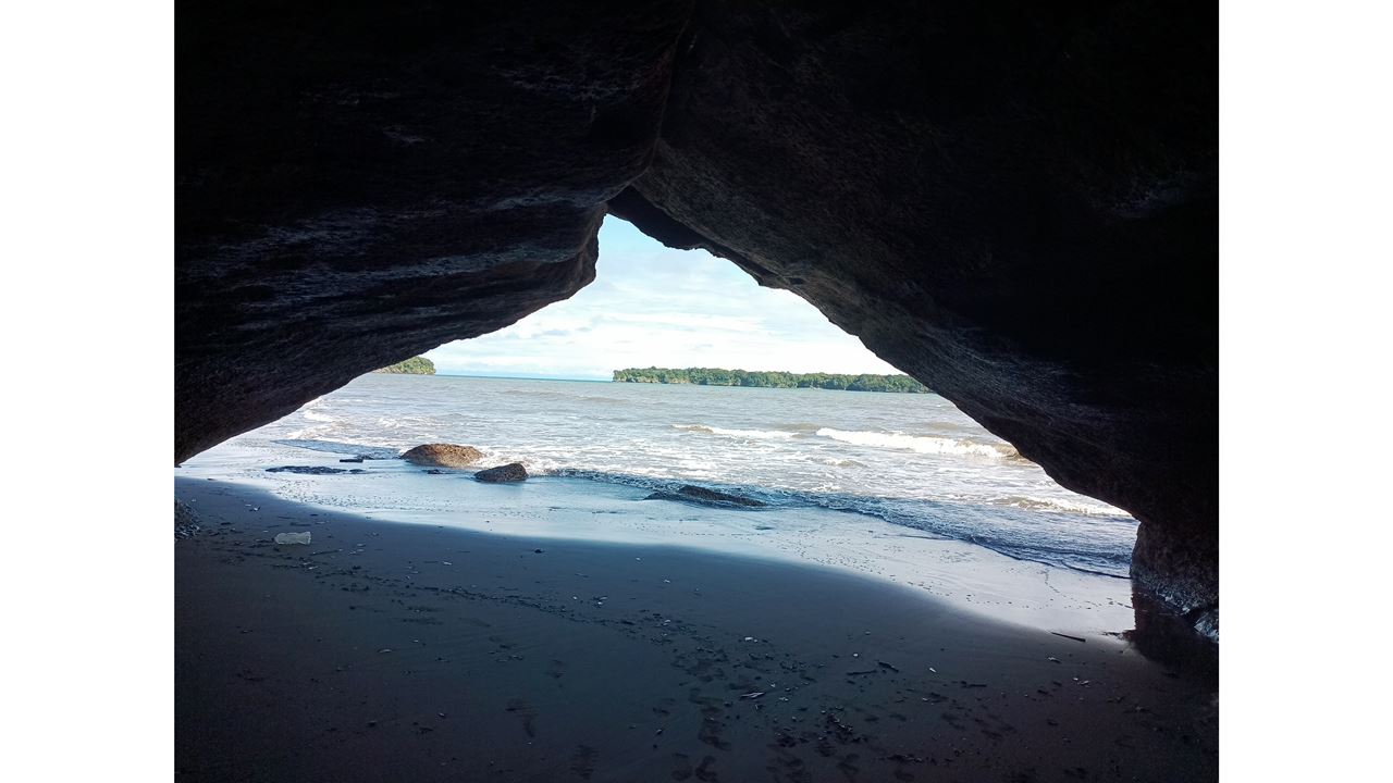 Observação De Baleias Na Baía De Málaga foto 6