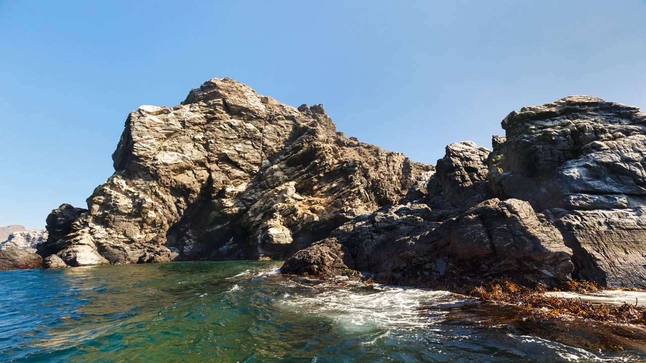 Avistamiento De Ballenas En La Reserva Marina Isla Chañaral foto 3