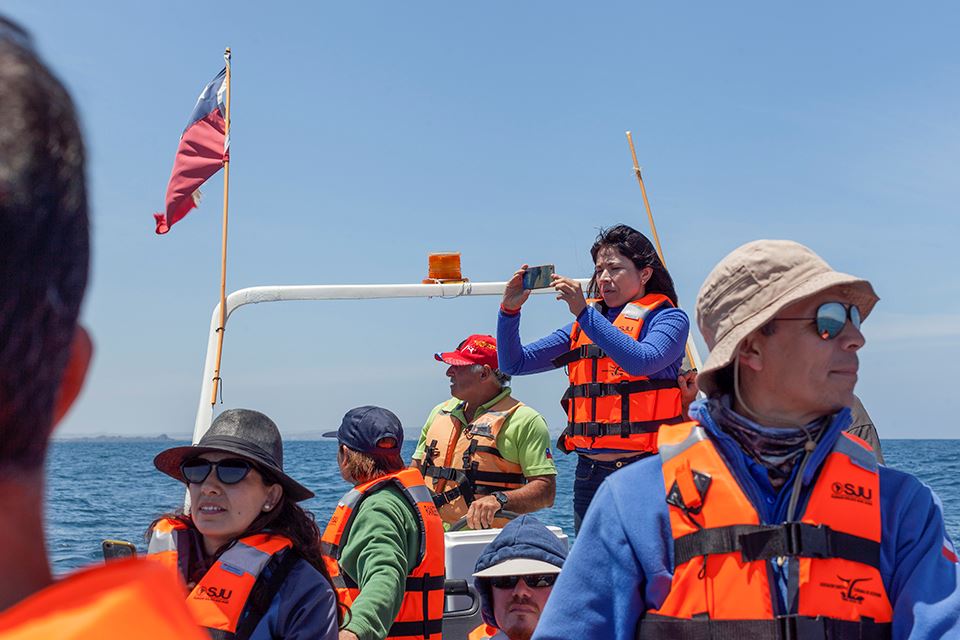 Avistamiento De Ballenas En La Reserva Marina Isla Chañaral foto 8