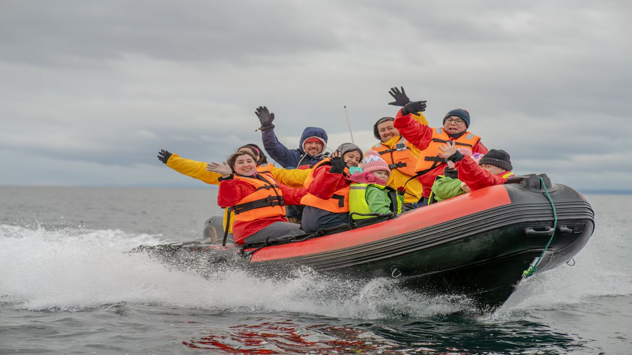 Avistamiento De Delfines Y Cabalgata foto 7