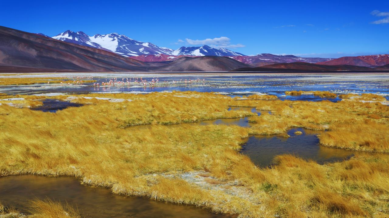 Pissis Balcony foto 3