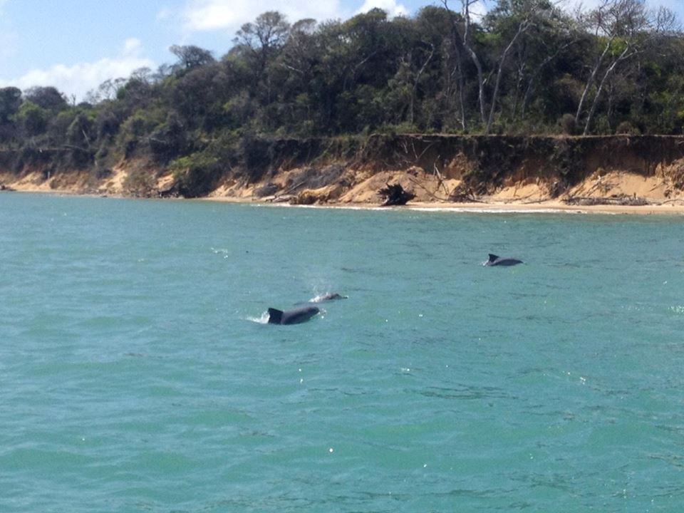 Barco Solemio Guaraíras Laguna Tour foto 2