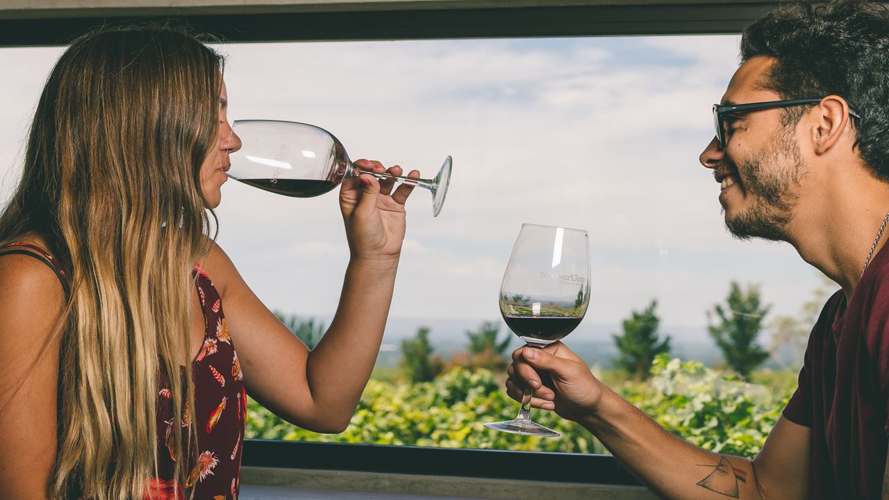 Superuco Vineyard Visit And Wine Tasting (4)