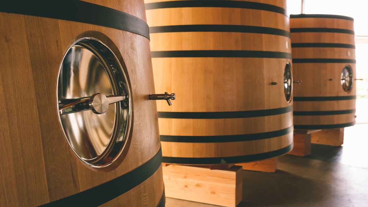 Superuco Vineyard Visit And Wine Tasting (3)