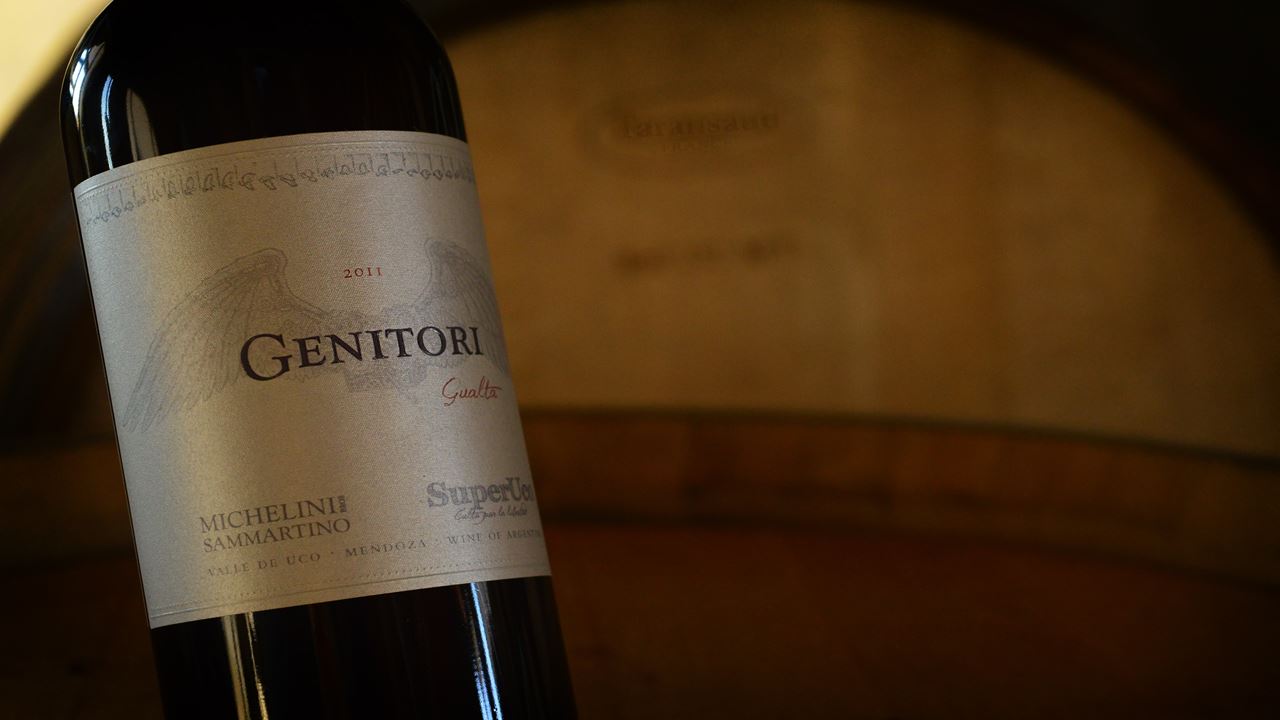 Superuco Vineyard Visit And Wine Tasting (0)