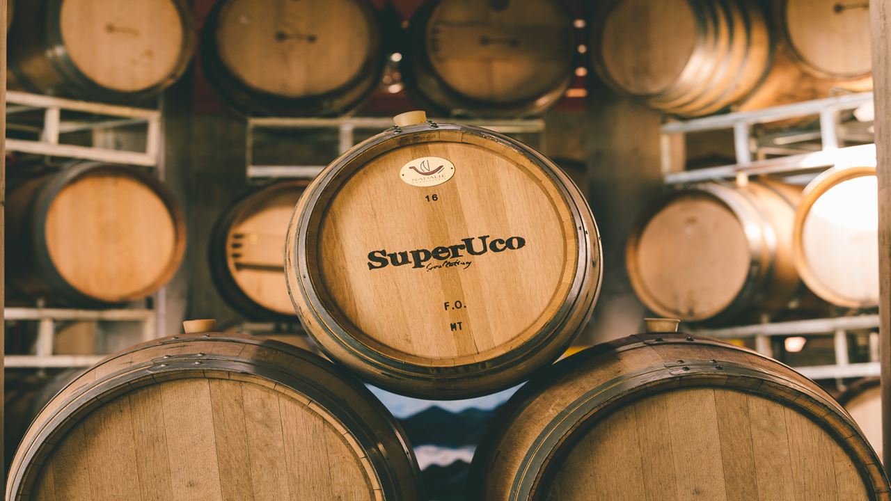 Superuco Vineyard Visit And Wine Tasting (5)