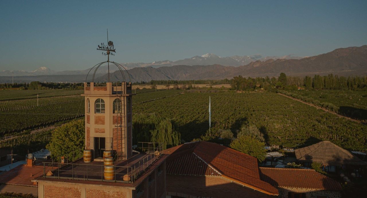 Bodega Y Cata Privada De Vinos (7)