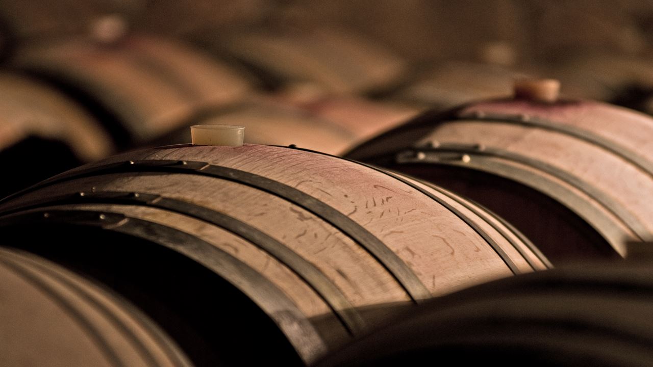 Bodega Y Cata Privada De Vinos (2)
