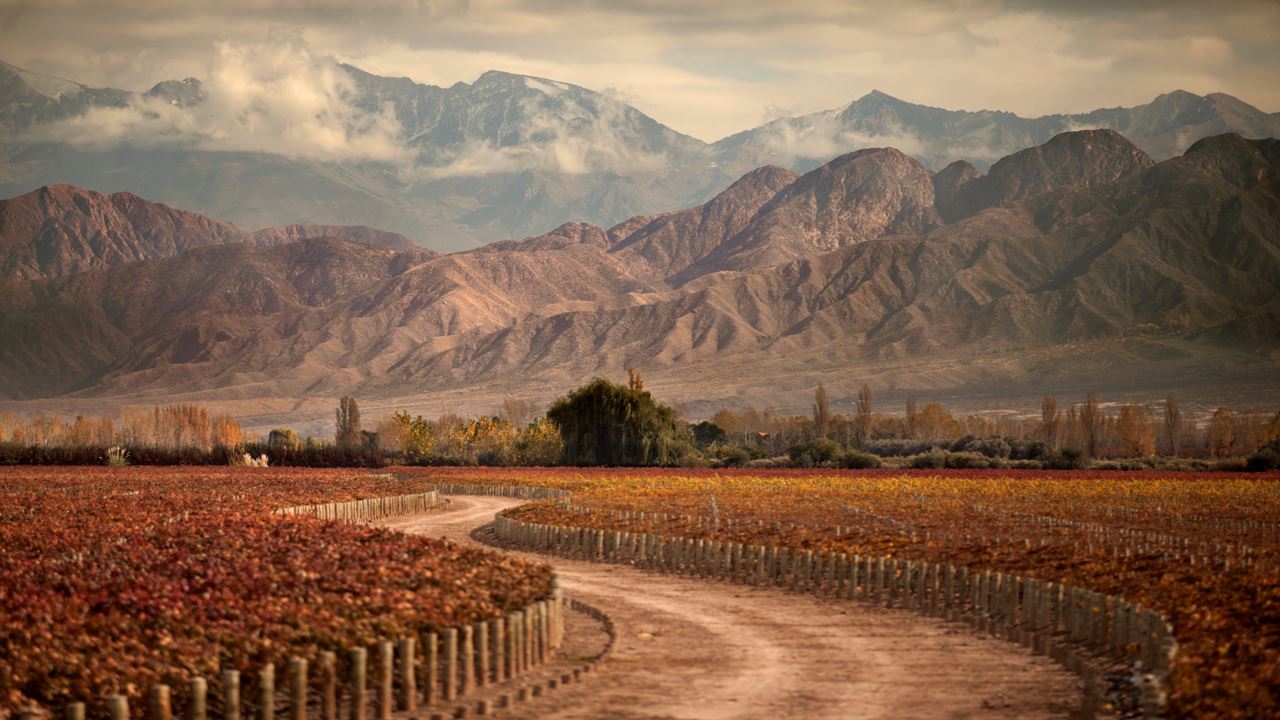 Bodega Y Cata Privada De Vinos (3)