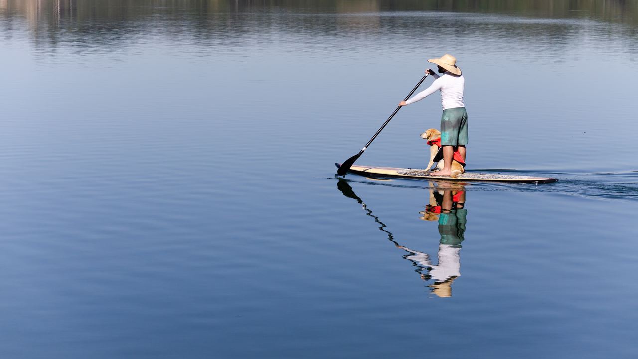 Boia Cross - Parque Ecologico Rio Formoso foto 1