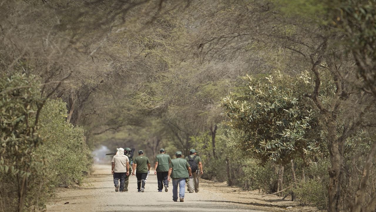 Bosque De Pomac & Museo Sican foto 6