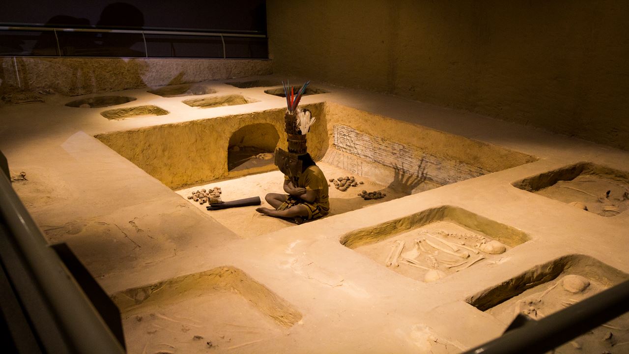 Bosque De Pomac & Museo Sican foto 5