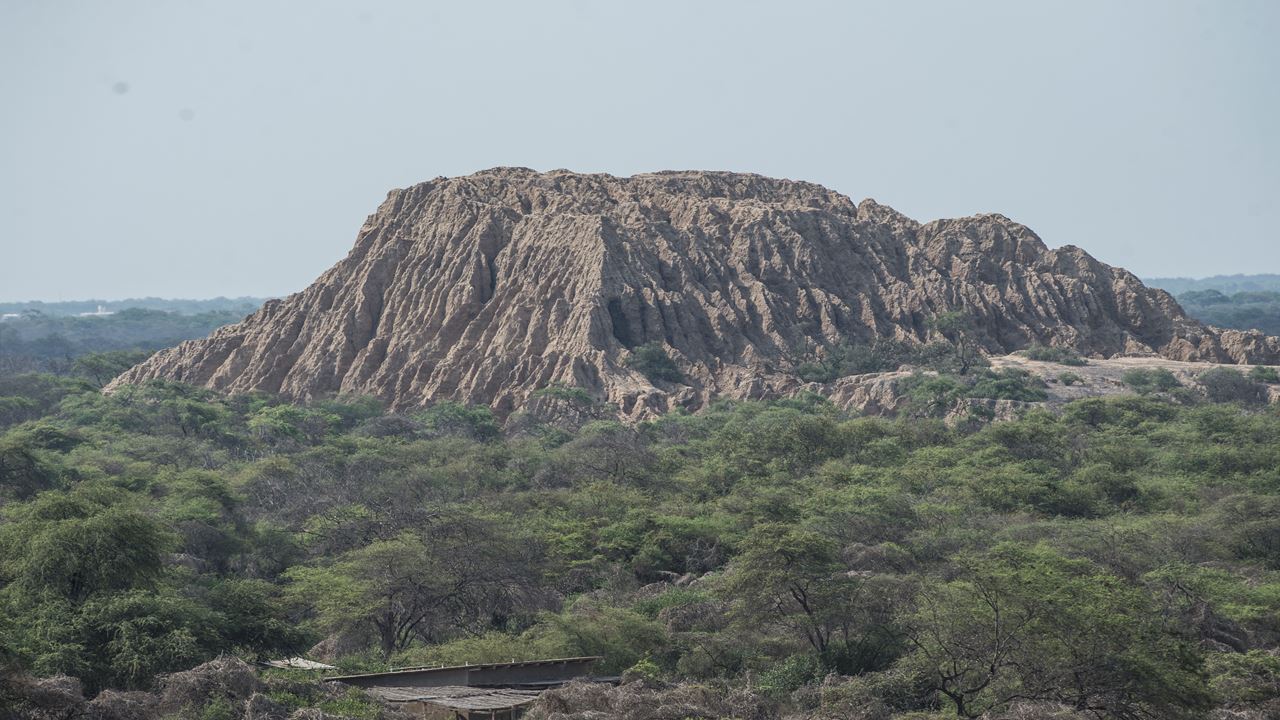 Bosque De Pomac & Museo Sican foto 8
