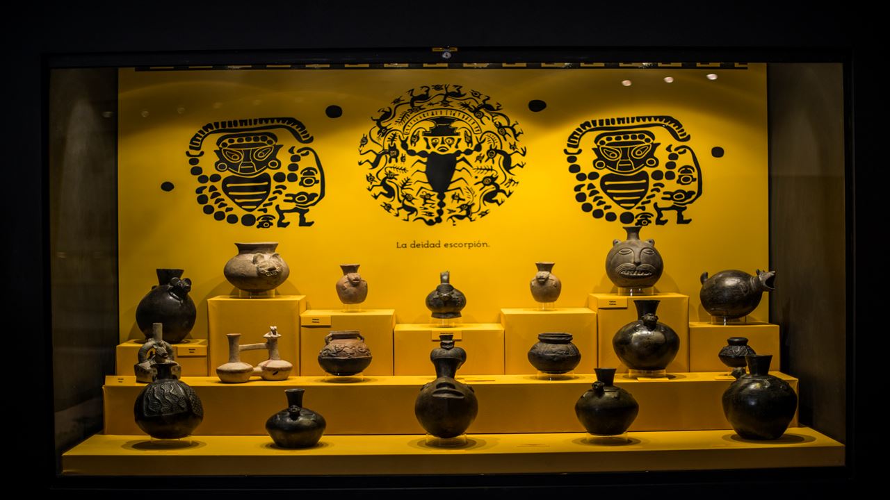 Bosque De Pomac & Museo Sican foto 9