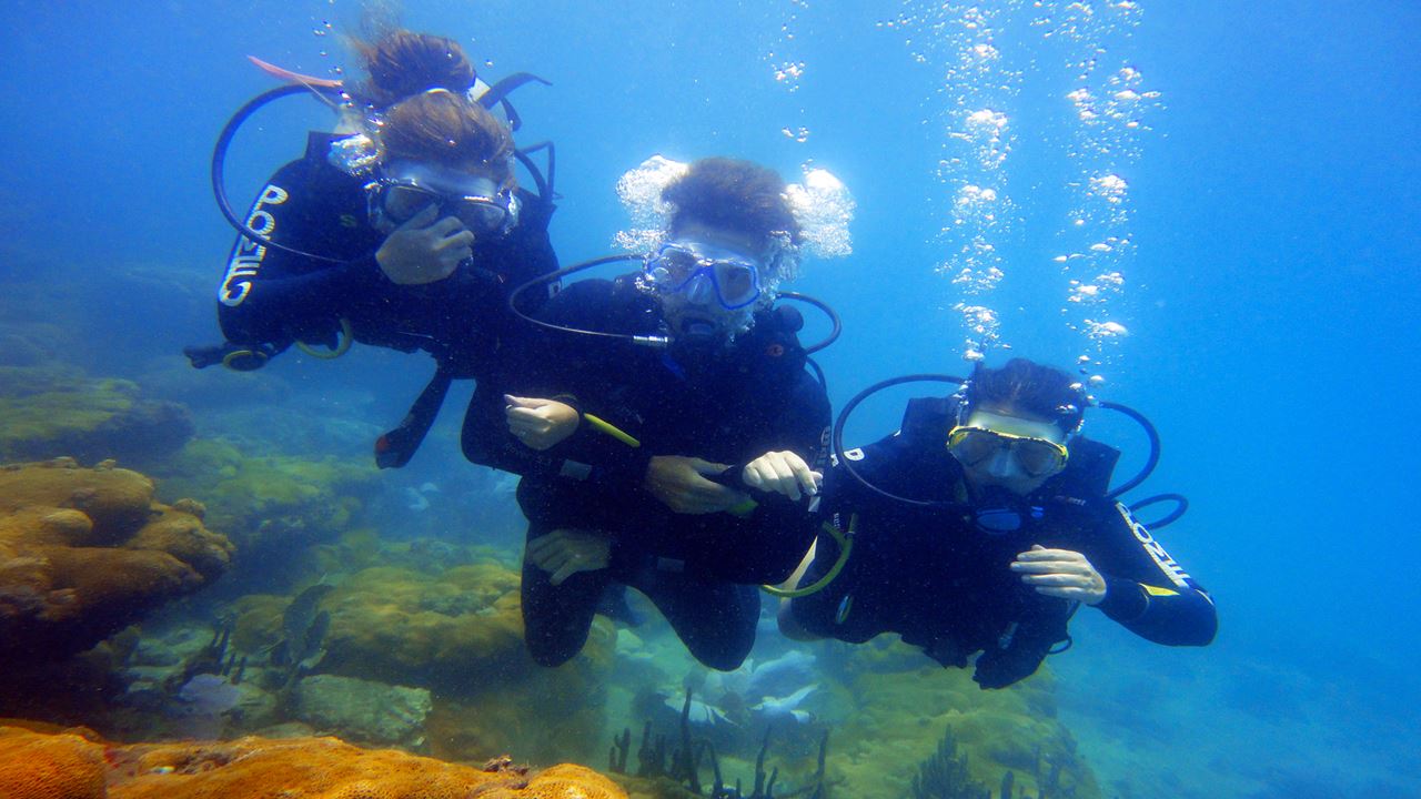 Diving Baptism In Búzios foto 3