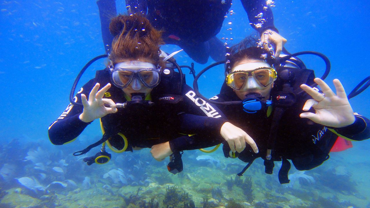 Diving Baptism In Búzios foto 4