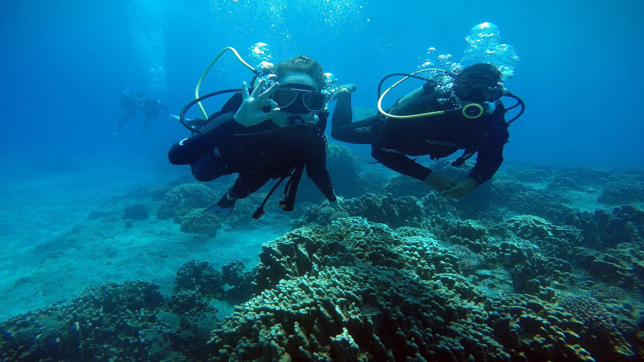 Test Diving In Hanga Roa foto 3