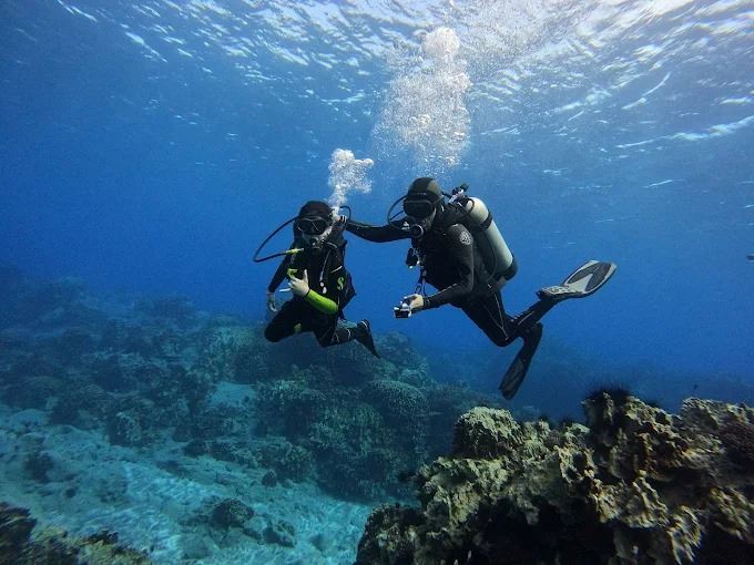 Diving In Hanga Roa Bay foto 6