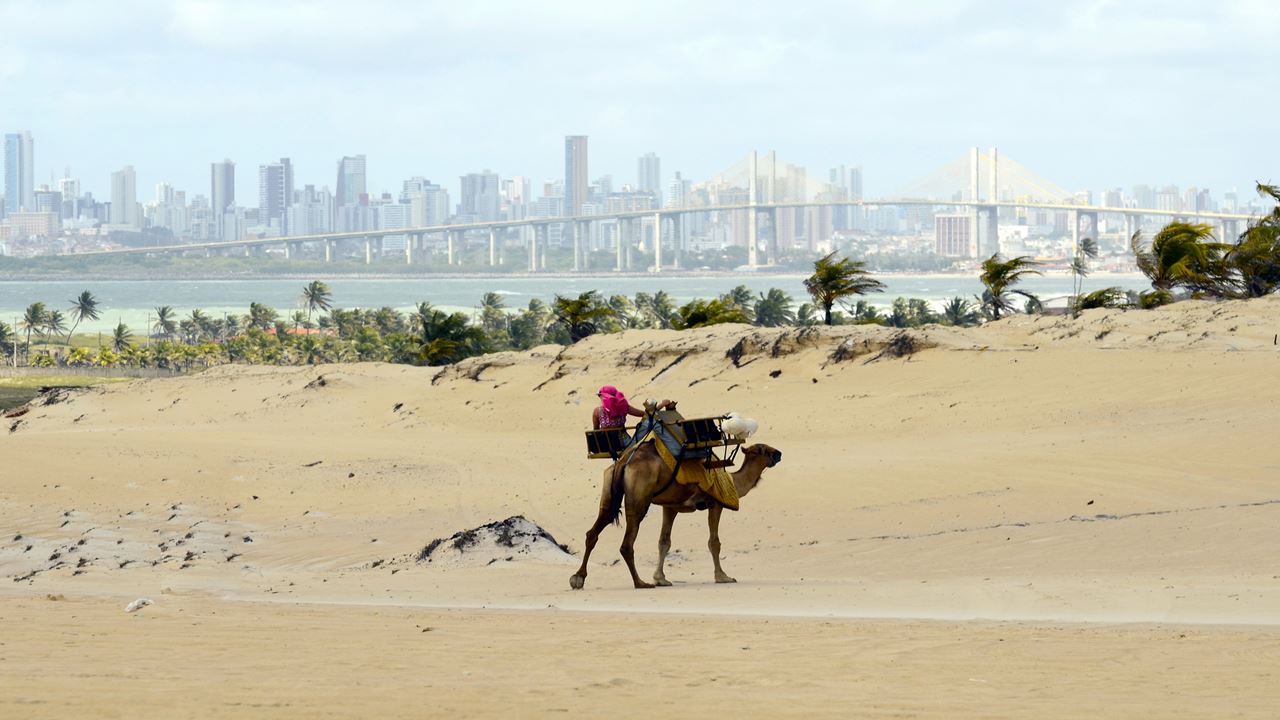 Tour De Buggy A Genipabu foto 17